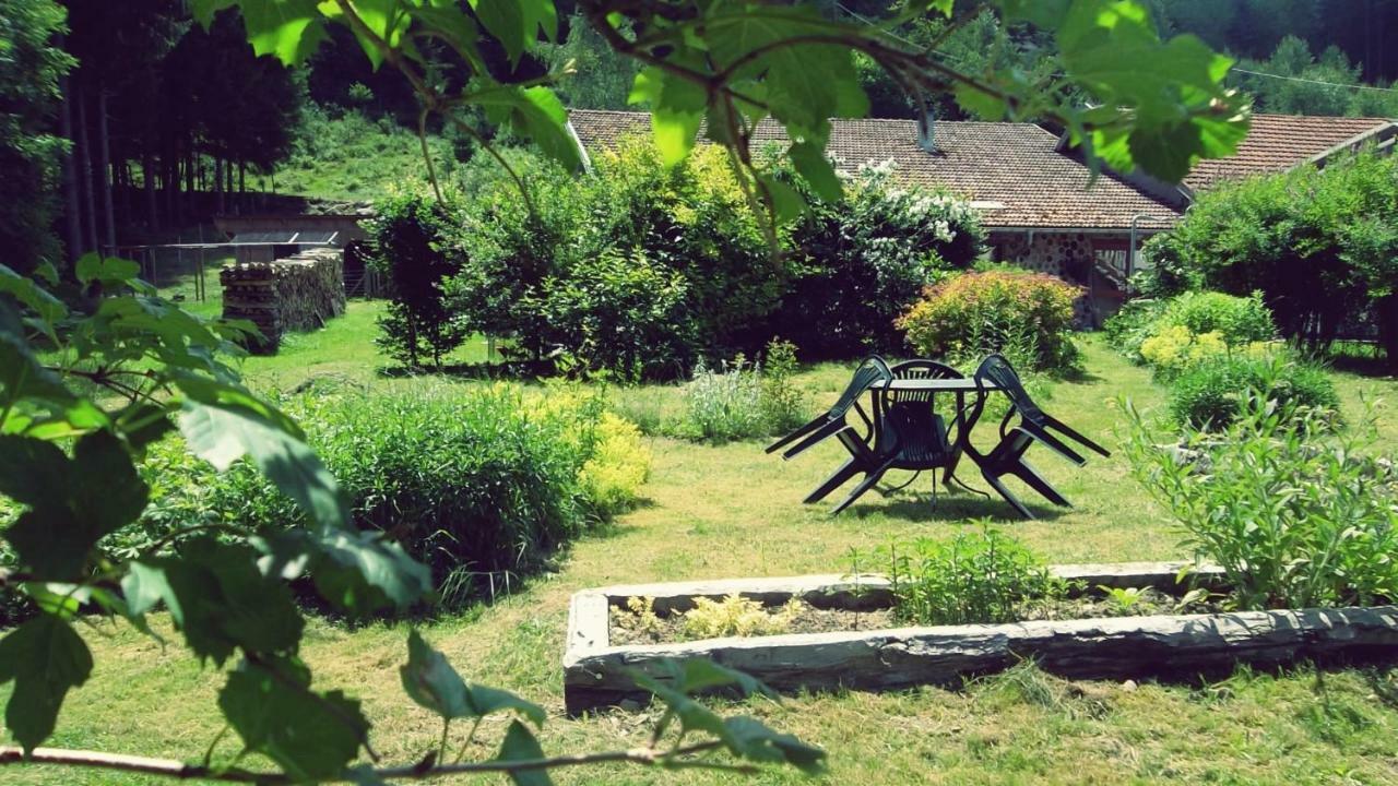 Saulxures-sur-Moselotte La Boissellerie酒店 外观 照片